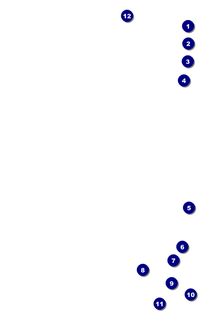 Lotus Flower Drink Ticket Front Field Markers