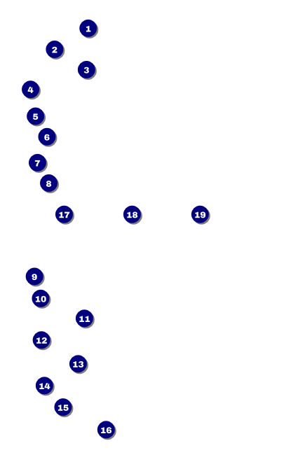 Dance Circles Drink Ticket Front Field Markers