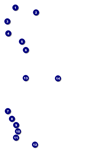 Ski Race Drink Ticket Front Field Markers