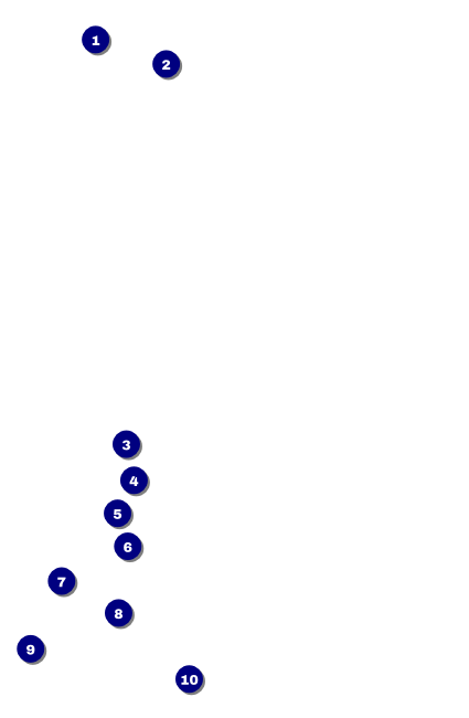 Cherry Blossom Circle Drink Ticket Front Field Markers