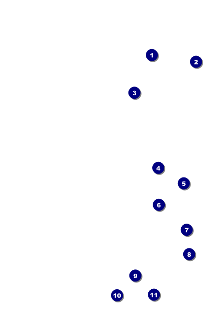 Fishing and Hunting Expo Green Camo Drink Ticket Front Field Markers