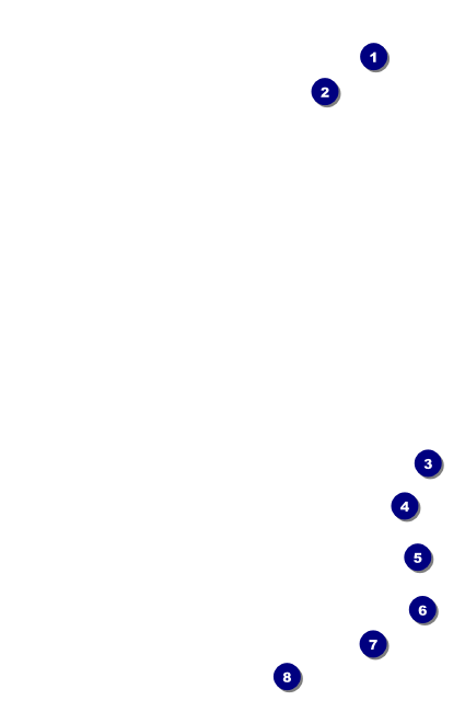 Dandelion Drink Ticket Front Field Markers