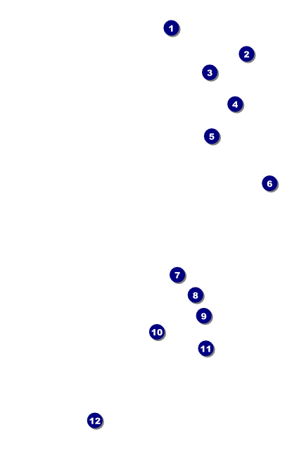 Paper Christmas Tree Red Drink Ticket Front Field Markers