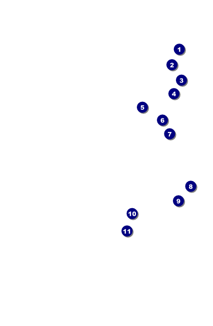 Dallas Drink Ticket Front Field Markers