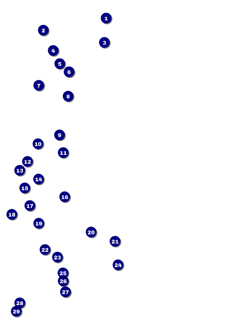 Dance Circles Flyer Front Field Markers