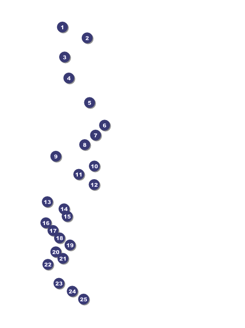 Red Rose Flyer Front Field Markers