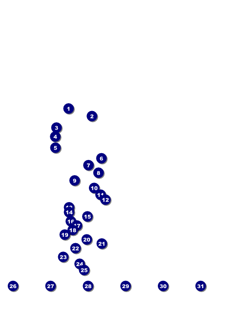 St. Louis Flyer (Black & white) Front Field Markers