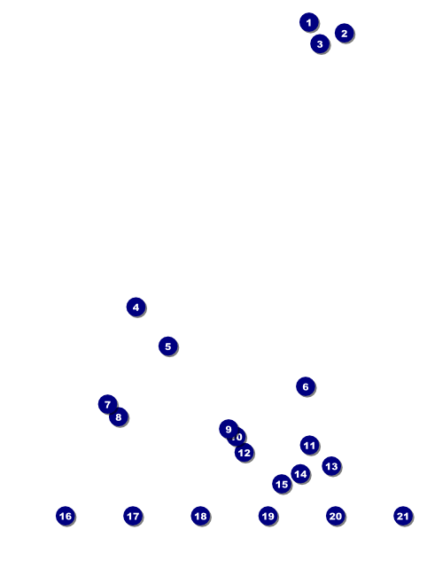 Chinese New Year Horse Logo Flyer Front Field Markers