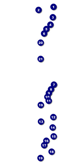 Ski Race Event Ticket Front Field Markers