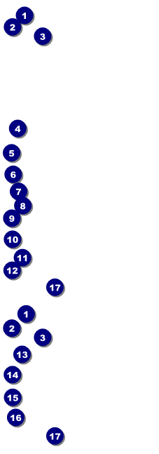 Lions Club International Stripes Event Ticket Front Field Markers