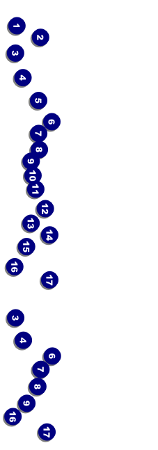 Yellow Rose Event Ticket Front Field Markers