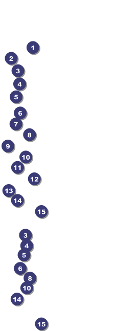 Stars and Stripes Ticket 002 Front Field Markers