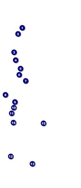 Coffee Coupon Front Field Markers