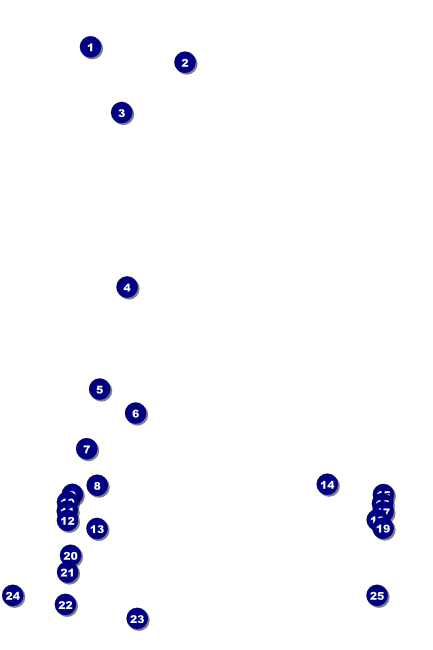 Birthday Party Green Poster Front Field Markers