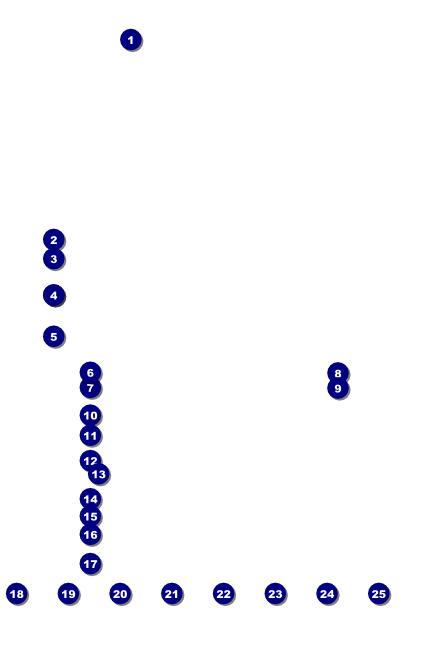 Tampa Bay Sunset Logo Poster Front Field Markers