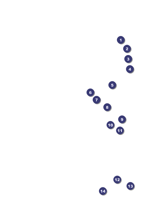 Kansas Postcard Front Field Markers