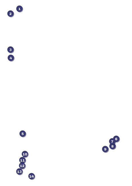 Prism Tree Postcard Front Field Markers