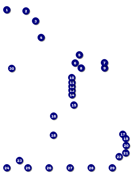 Class Reunion Mascot Green Postcard Front Field Markers