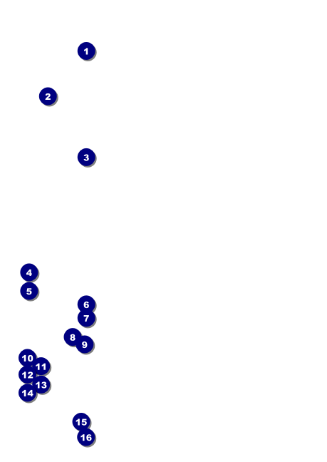 African Theme Postcard Front Field Markers