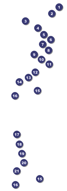 Florida Raffle Ticket Front Field Markers