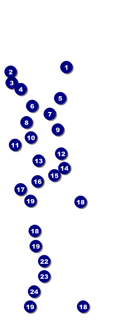 New Hampshire Raffle Ticket Front Field Markers