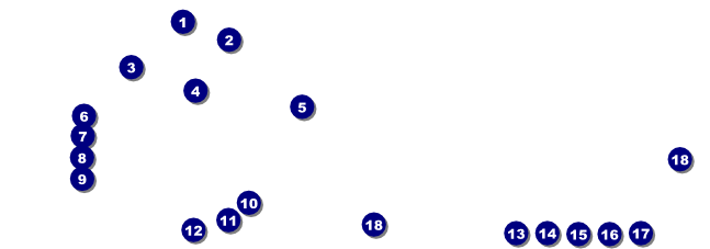 Winter Bird Raffle Ticket Front Field Markers