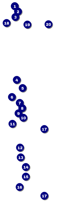 Run for a Cause Pink Raffle Ticket Front Field Markers