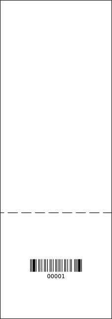 Roller Derby Passing Star Raffle Ticket Product Back