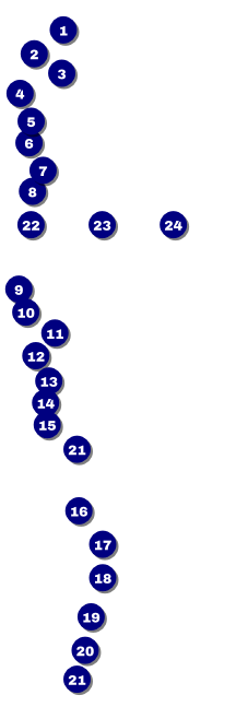 Dance Circles Raffle Ticket Front Field Markers