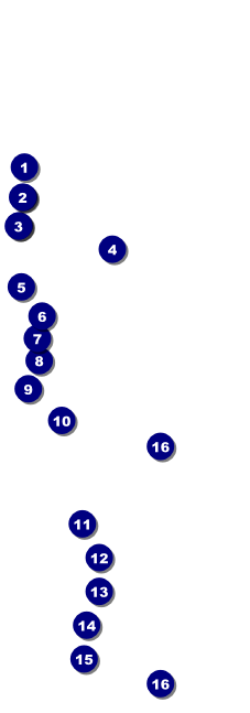 Swimming Raffle Ticket Front Field Markers