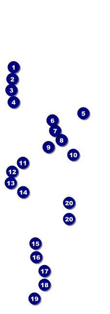 Cincinnati Raffle Ticket Front Field Markers