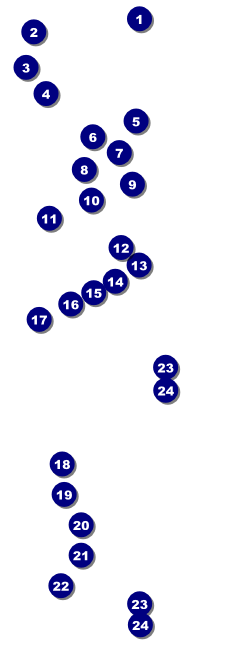Portland Raffle Ticket (black and white) Front Field Markers