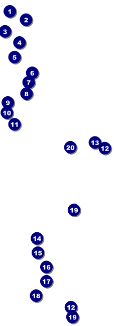 Your Image Raffle Ticket 001 Front Field Markers