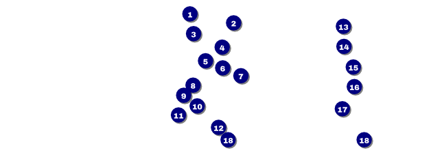Beach Raffle Ticket Front Field Markers