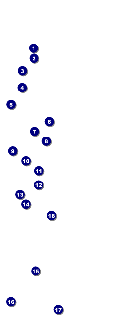 Michigan VIP Pass Front Field Markers