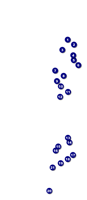 Maryland VIP Pass Front Field Markers