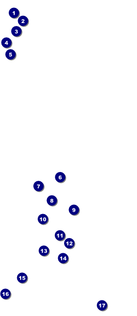 Diwali VIP Pass Front Field Markers