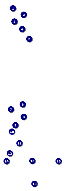 Run for a Cause Blue & Green VIP Pass Front Field Markers