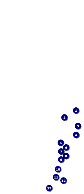 Modern Dance Black VIP Pass Front Field Markers