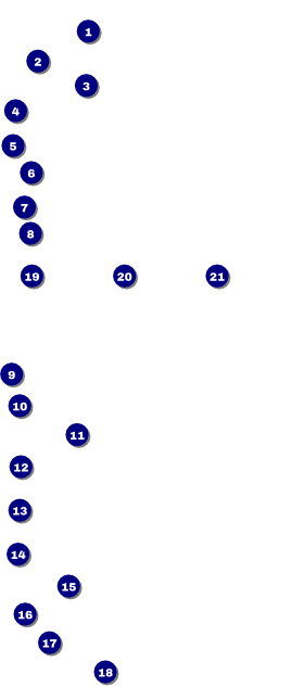 Dance Circles VIP Pass Front Field Markers