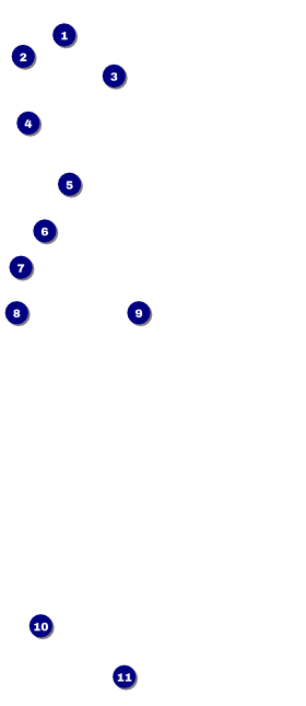 Fundraising Hands VIP Pass Front Field Markers