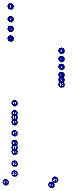 Fundraising Thermometer VIP Pass Front Field Markers