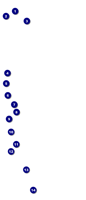 Lions Club International Stripes VIP Pass Front Field Markers
