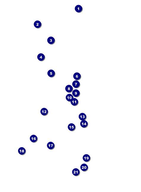 BMX Invitation Front Field Markers