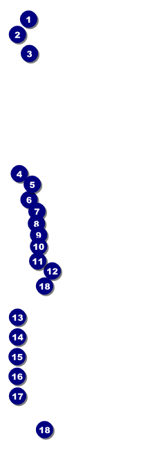 Curling Raffle Ticket Front Field Markers