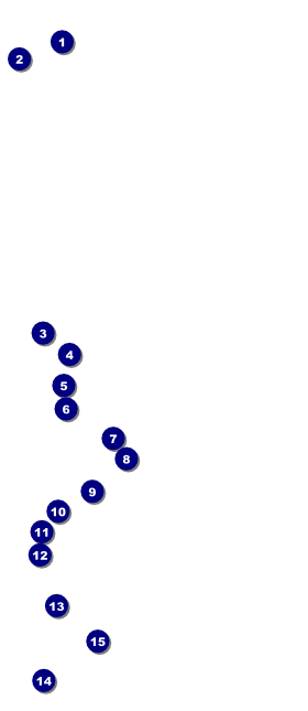 Curling VIP Pass Front Field Markers