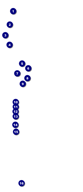 Crab Feed VIP Pass Front Field Markers