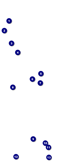 Pirate Ship VIP Pass Front Field Markers