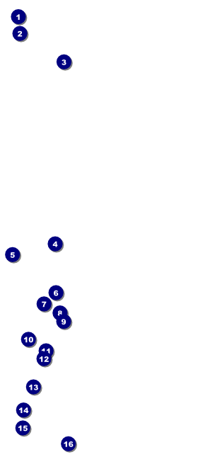 Robot Jack & Jill VIP Pass Front Field Markers