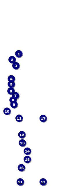 Merry Go Round Raffle Ticket Front Field Markers